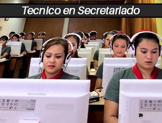 Técnico en Secretariado